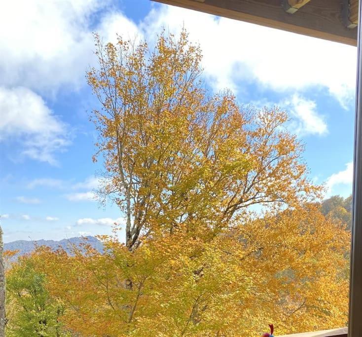 Appresski - 5 Bed Ski In Ski Out - 50 Steps To Ski Sugar Mountain Slopes Esterno foto