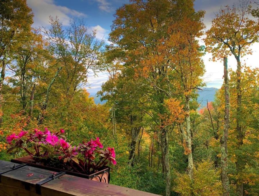 Appresski - 5 Bed Ski In Ski Out - 50 Steps To Ski Sugar Mountain Slopes Esterno foto